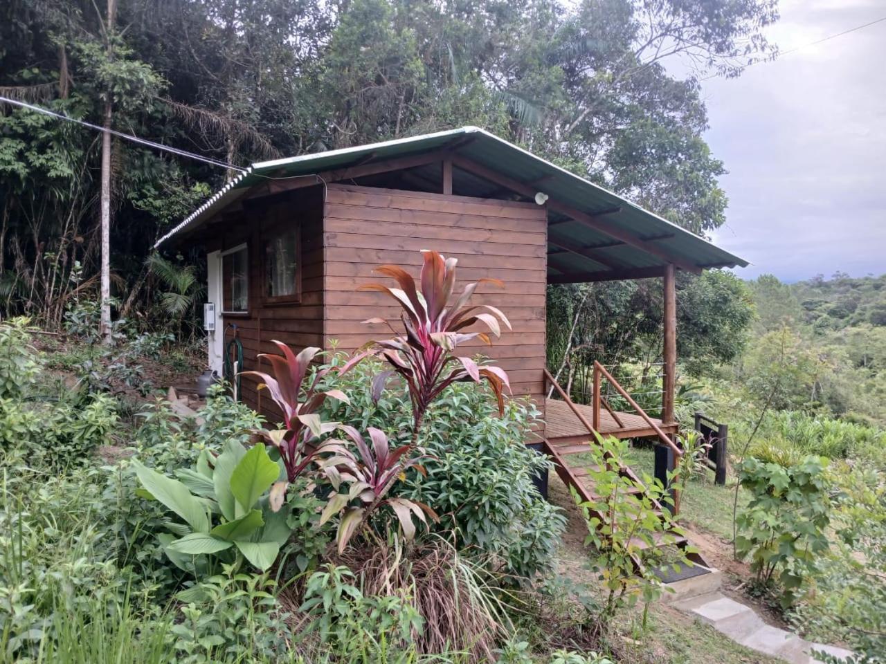 Cabana Manaca Da Serra Morretes Exteriér fotografie